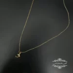 مدال طلا دلفین